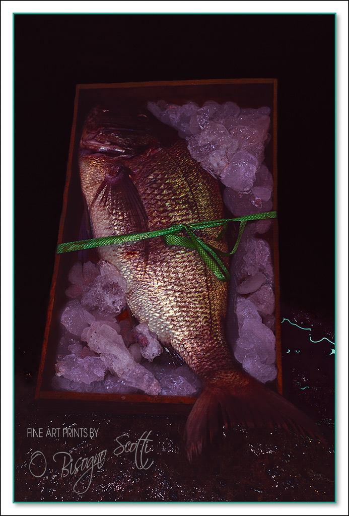 Fish Box
