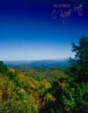 View Between Trees - Autumn North Carolina